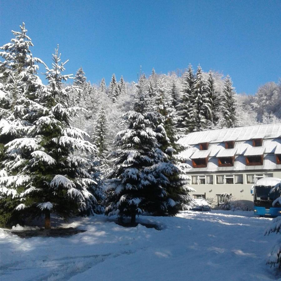Hotel Complexul Turistic Cheile Butii Cîmpu lui Neag Exterior foto
